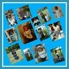 mslady2000